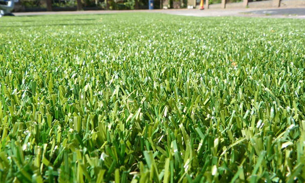 Synthetic Grass